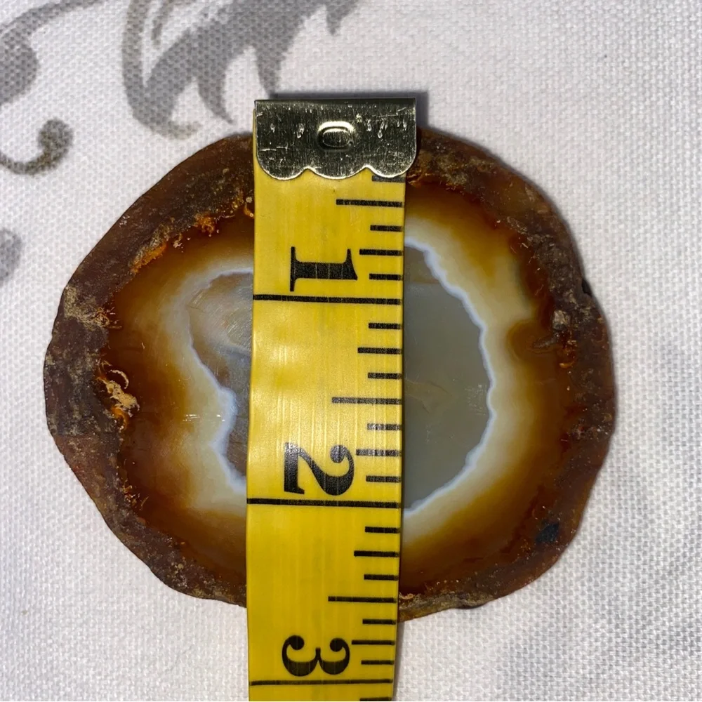 Vintage Agate slice Belt Buckle by Gunther Lapidary Western Cowboy Rodeo‎